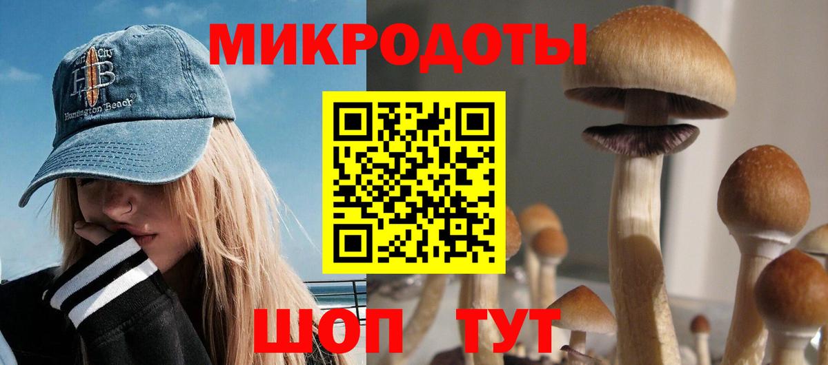 Галлюциногенные грибы Cubensis Новороссийск