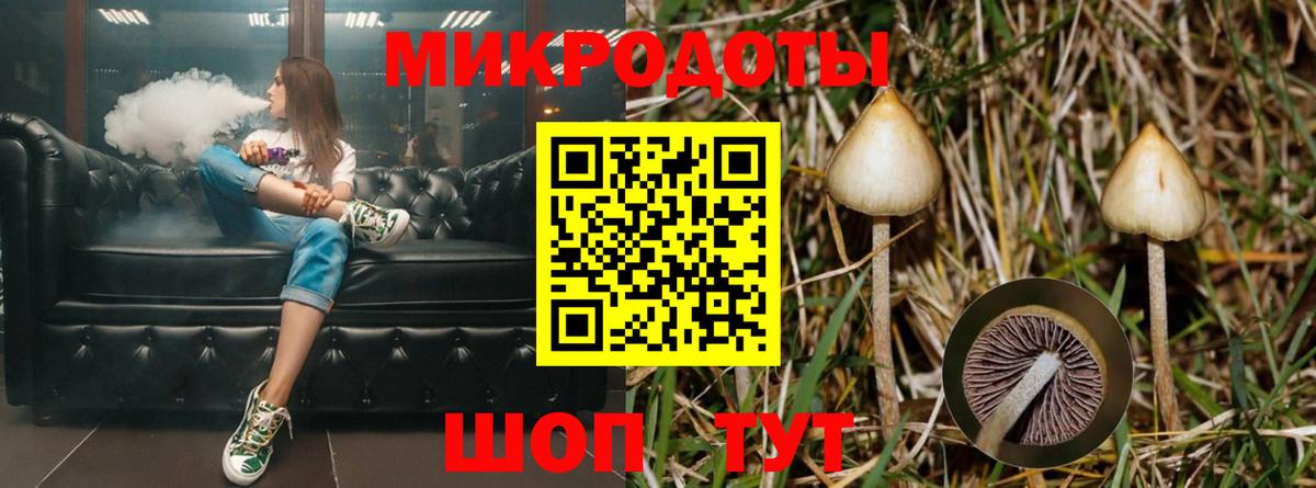Псилоцибиновые грибы Cubensis  Псилоцибиновые грибы мухоморы  Вход с VPN  Новороссийск 