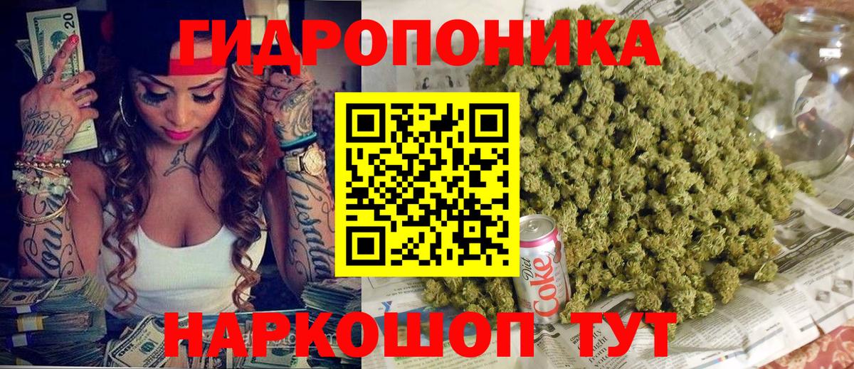 Меф Новороссийск